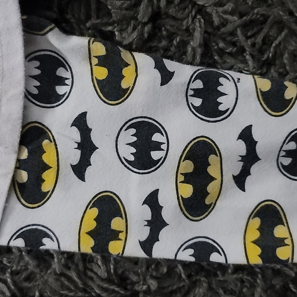 🦇Boys Size 4T 2pcs Pajama Set🦇 - Picture 5 of 7
